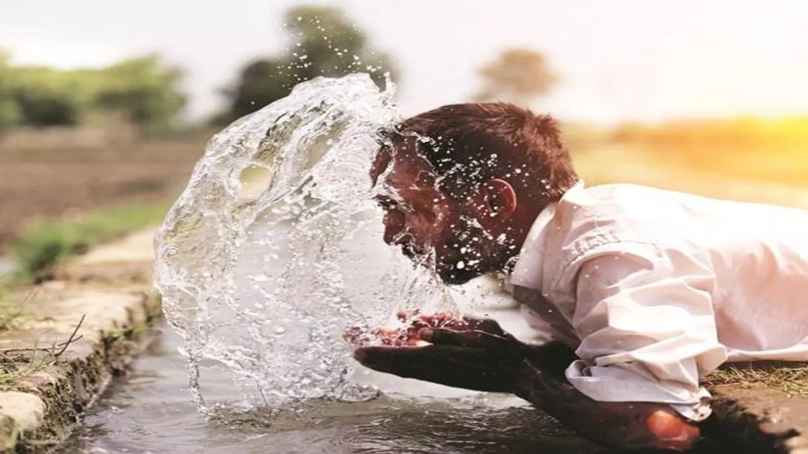 Weather Update: Temperature soars, Heat wave grips Delhi and Rajasthan