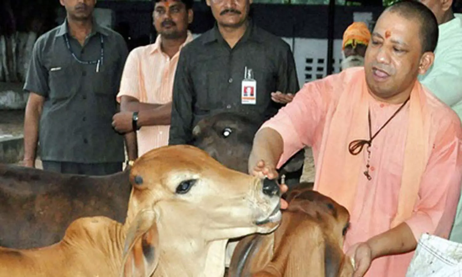 UP Govt launches help desks for Cows amid COVID, Netizens react