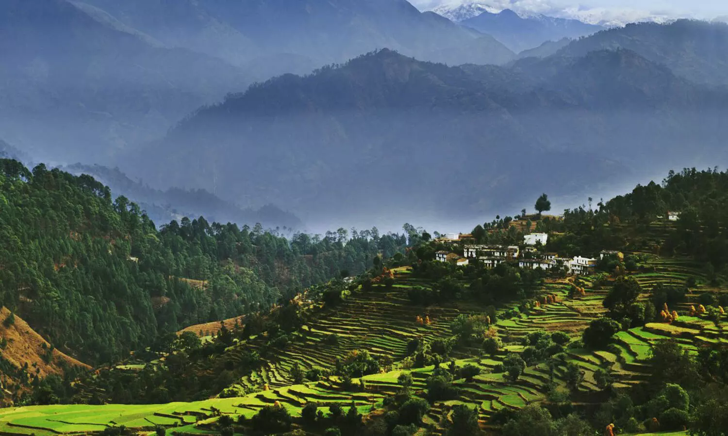 Negative RT-PCR report mandatory to enter high Himalayan valleys in Uttarakhand
