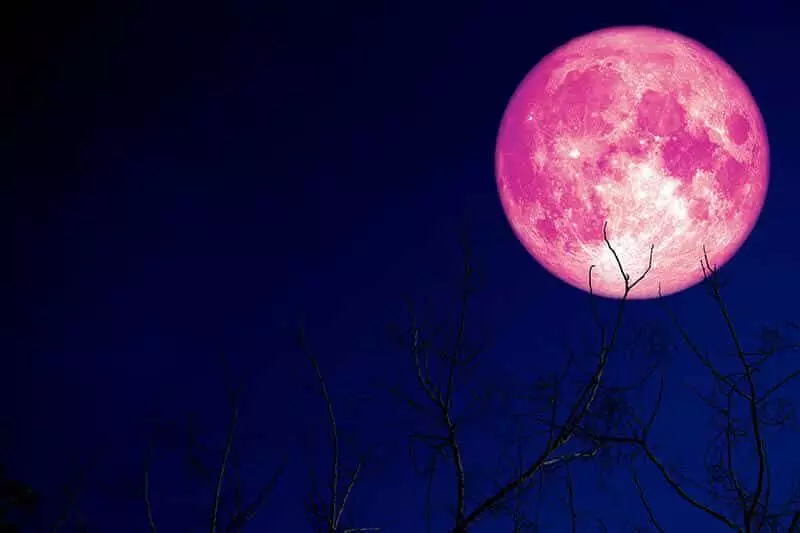 Strawberry Moon 2021[June 24]: Know everything about this celestial event!