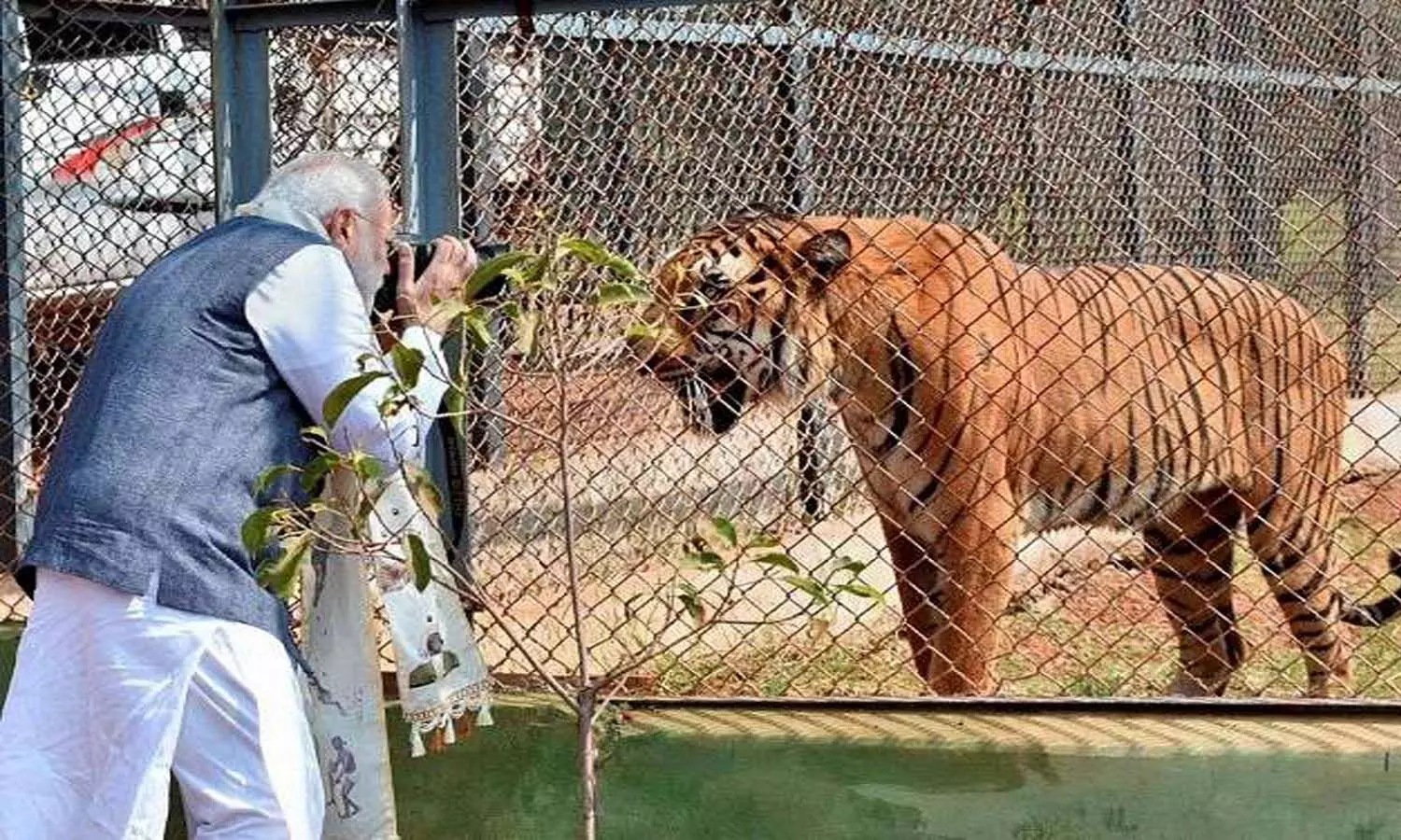 International Tiger Day: PM Narendra Modi extends greetings to wildlife lovers