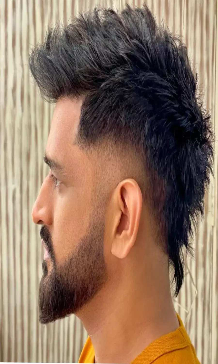 MS Dhoni's weirdest hairstyles till date