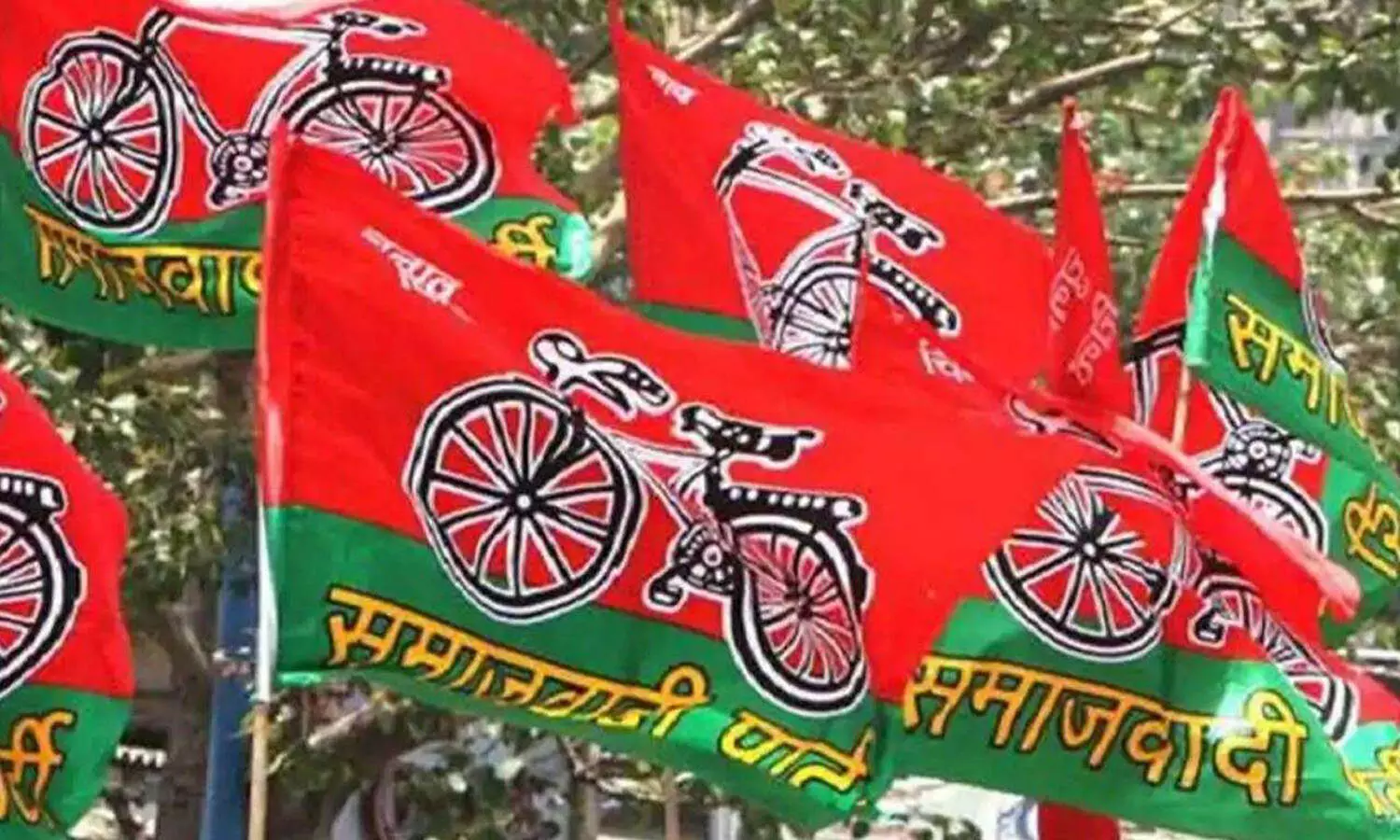 Akhilesh Yadav takes out Samajwadi Cycle Yatra against fuel hike across UP