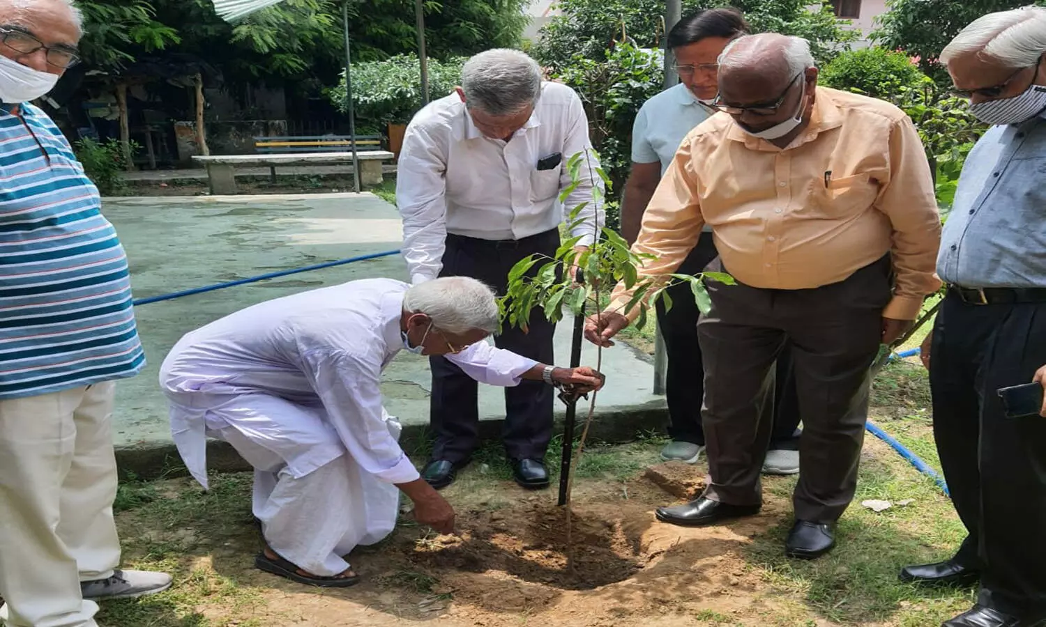 Tree Plantation Drive by Veterans, SMS and MAA