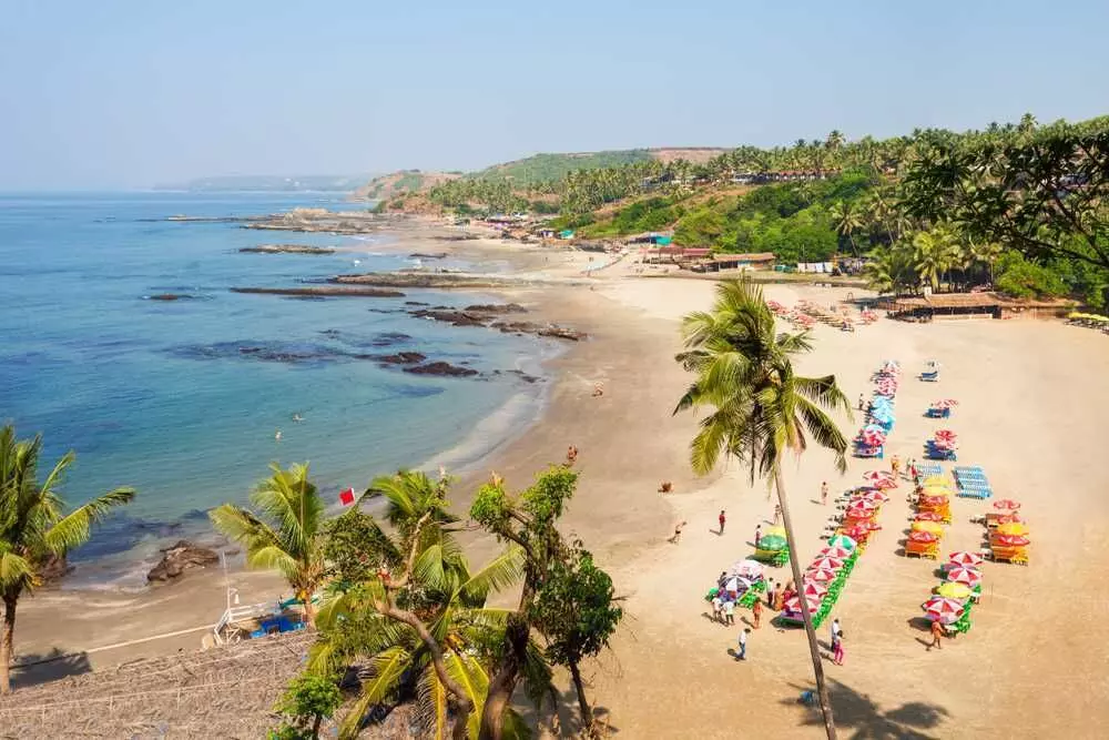 No RT PCR negative report required for tourists travelling to Goa