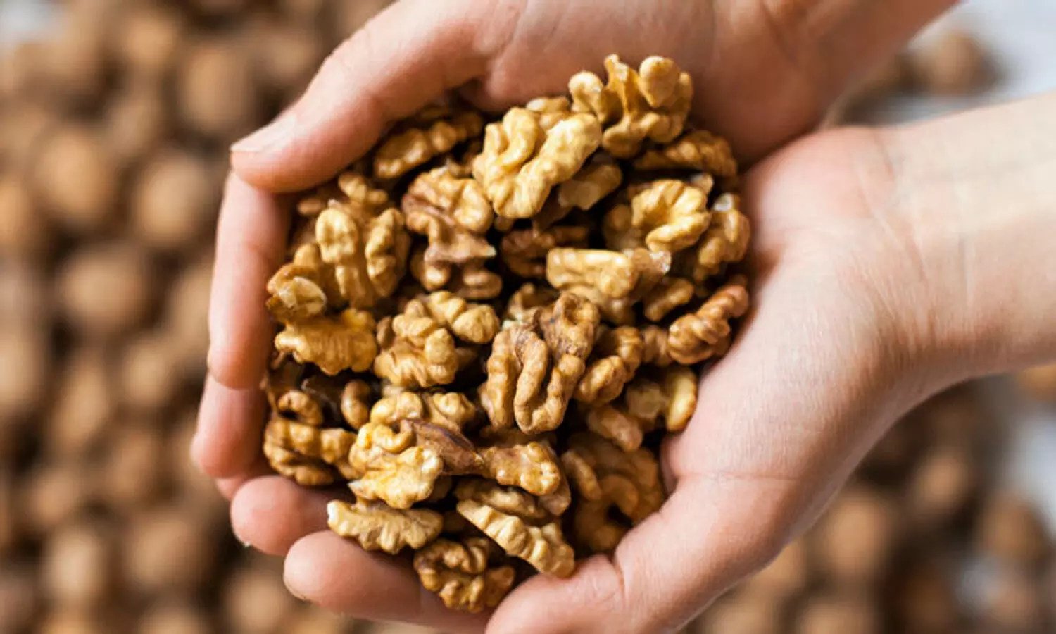 Eating Walnuts lowers Bad Cholesterol and may reduce risk of heart disease