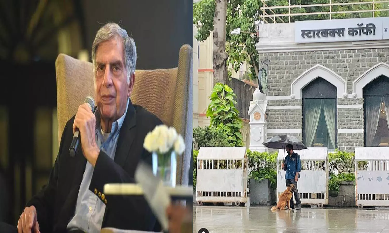 Ratan Tata applauds an employees act of kindness of sharing his umbrella with a stray dog