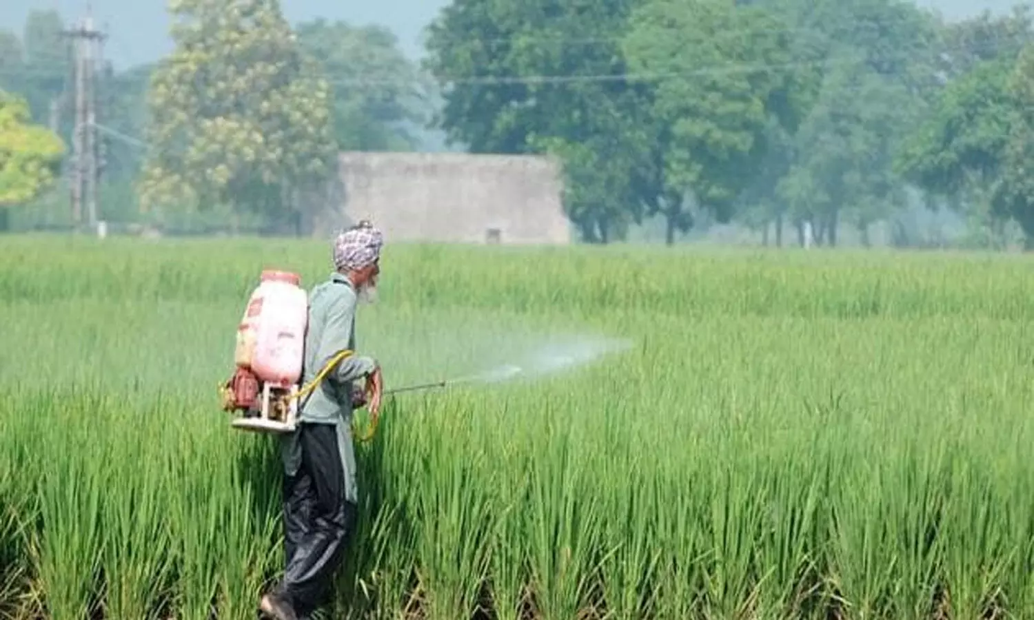 Modi-Yogis resolve to double farmers income pays off despite Covid