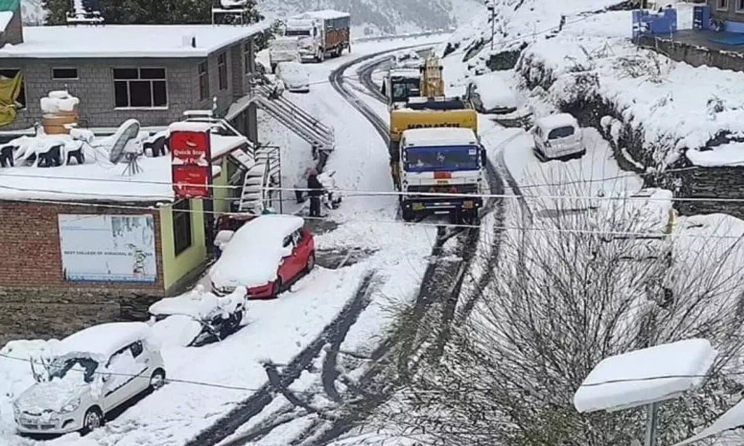 Weather Update: Snowfall in Himachal Pradesh, IMD issues Yellow Alert