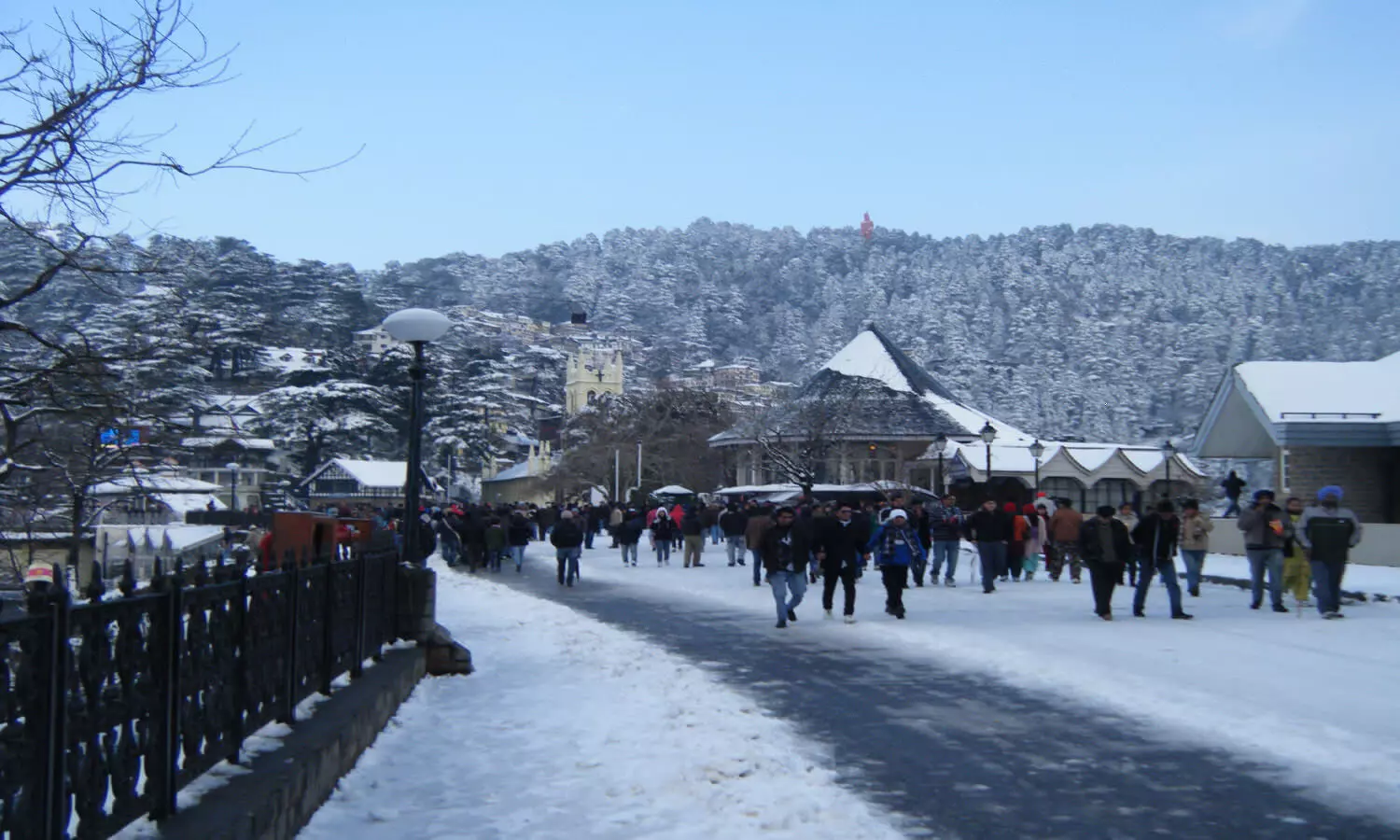 Snowfall Magic in Shimla: A Delightful Escape for Tourists and Local Businesses