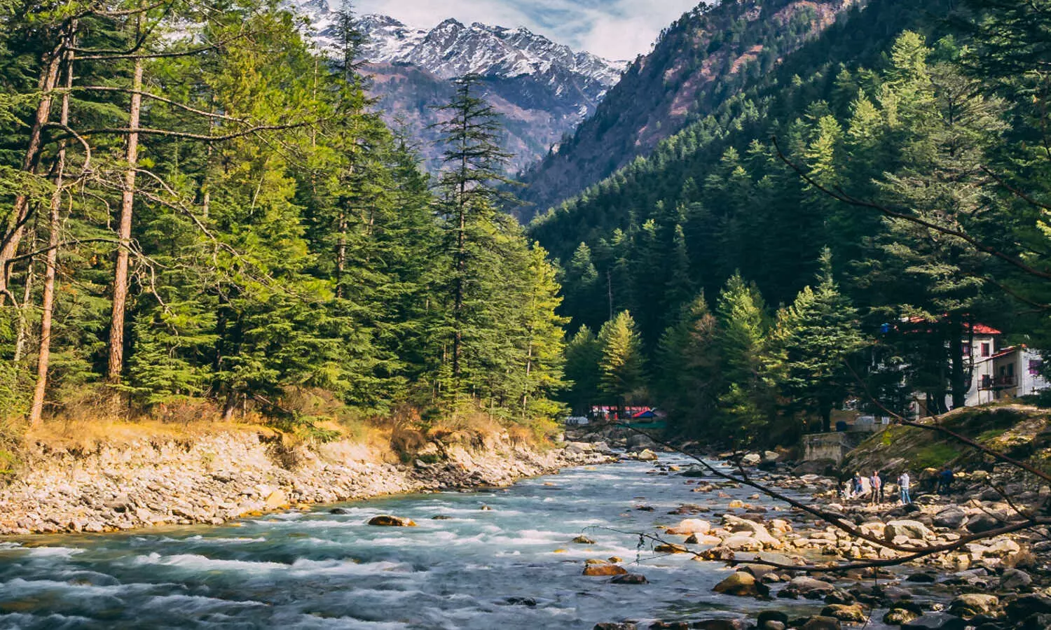 Your Essential Guide to Traveling to Bhutan from India