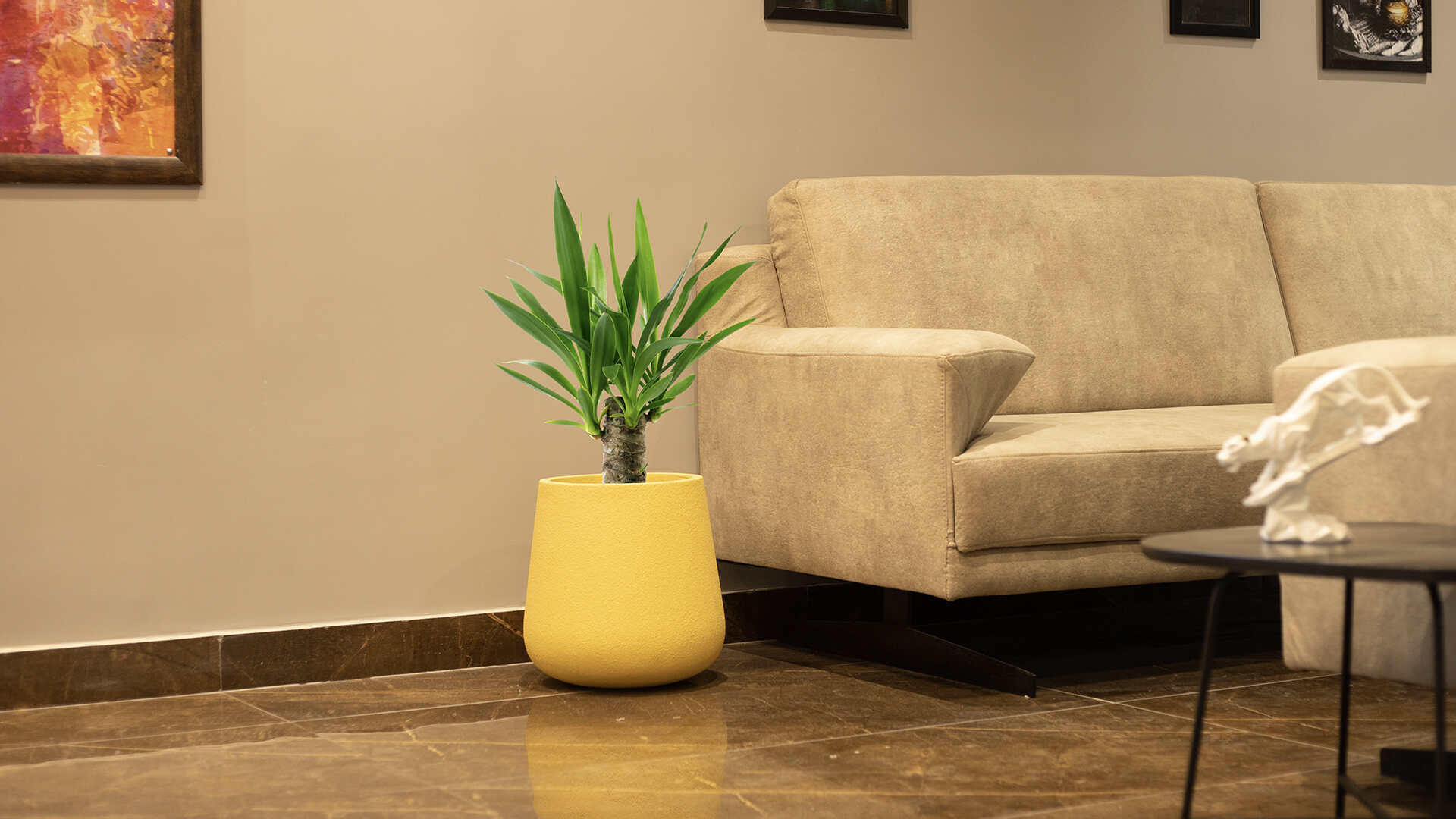 Bonasila Planters Manufacturing FRP Planters that add meaning to your