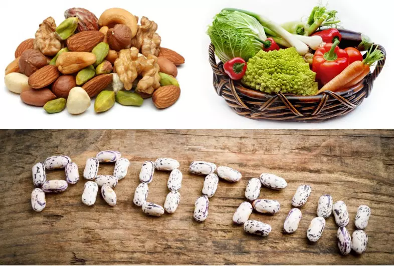 Vegetarian foods which are rich sources of protein