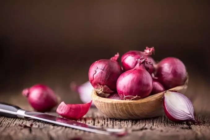 India prohibits export of onions till March 2024