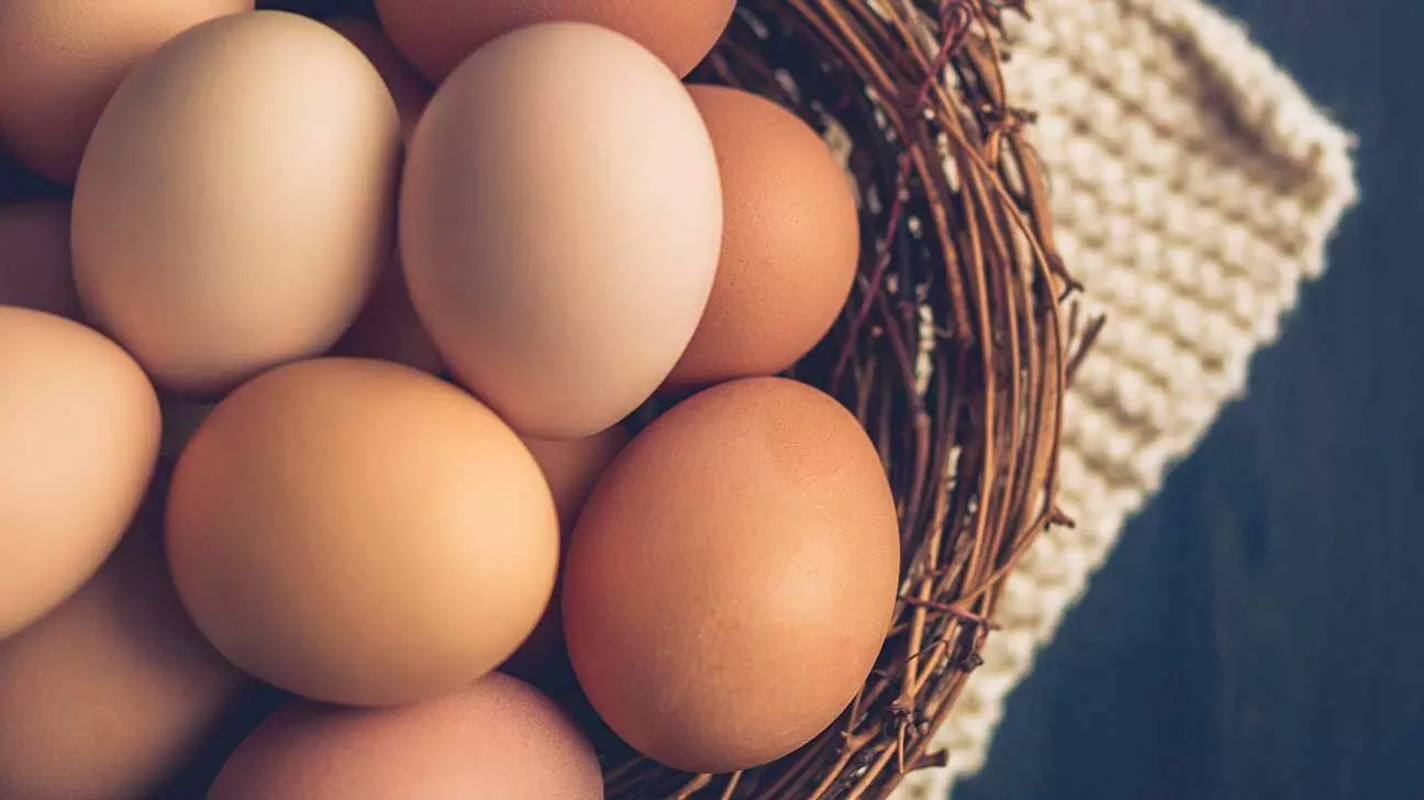 Why Everyone Must Avoid Eating Egg or Egg-Containing Food Items