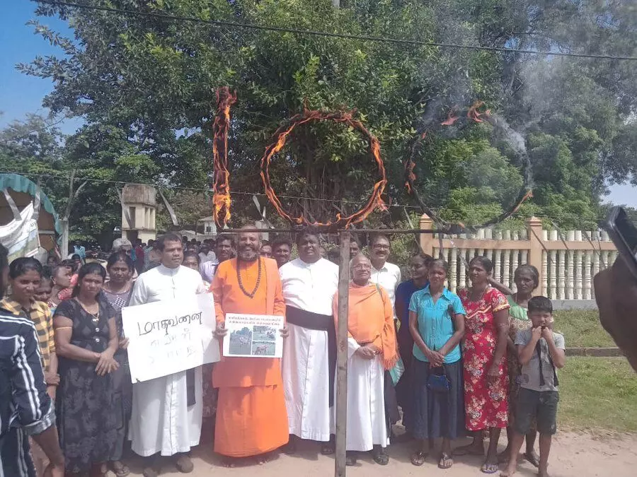 Slaughter and Maiming of Cows among Efforts to Expel Farmers from their Homeland in the Tamil North – East of Sri Lanka