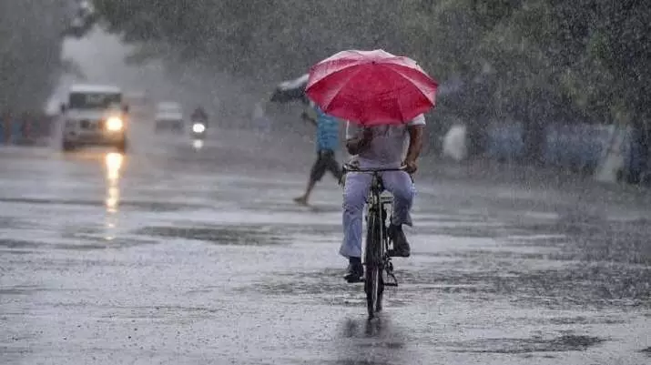 Weather Alert: Rain and Thunderstorms Forecasted for Bihar and MP, Temperature Rise Expected in Delhi