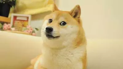 Farewell to the Doge: Remembering Kabosu, the Shiba Inu Who Took the Internet By Storm