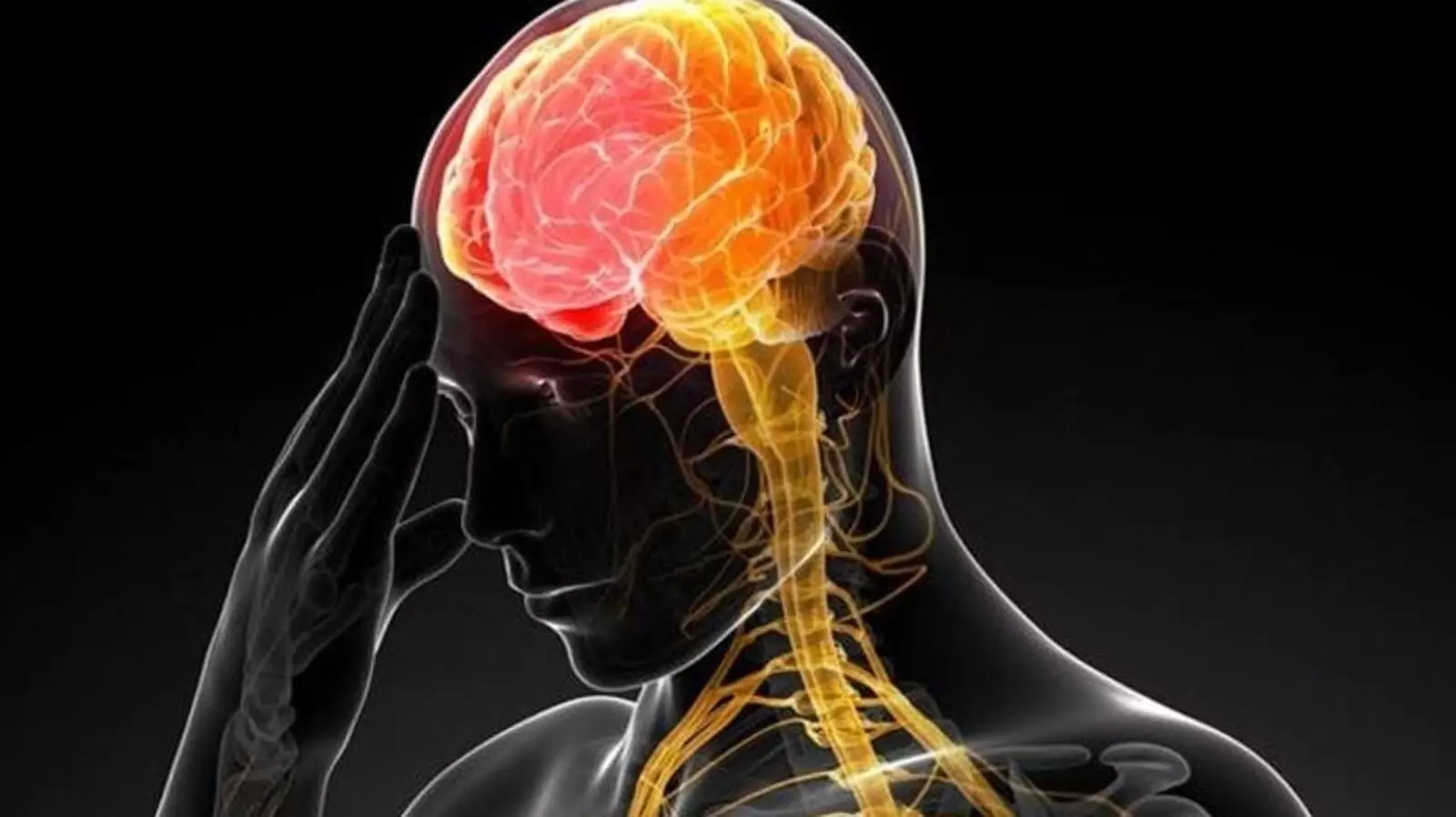 World Stroke Day 2024 These are the specific changes that occur in the