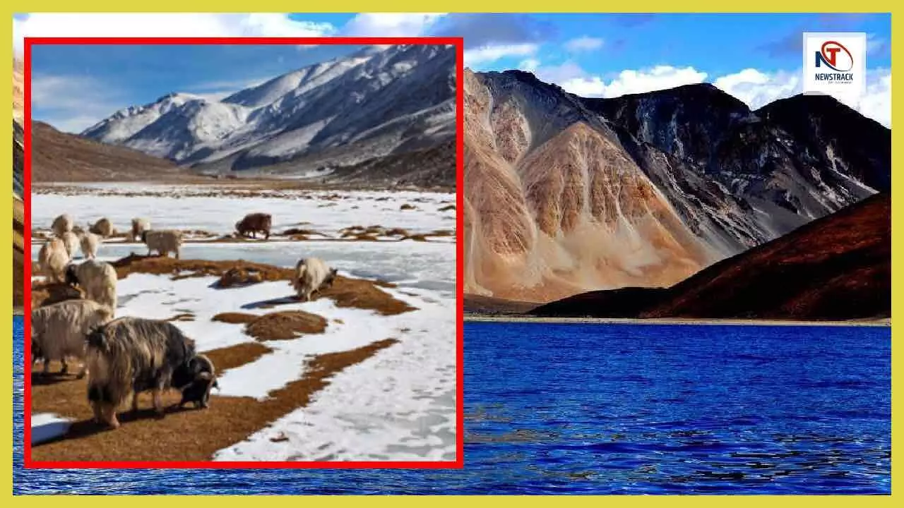 Changthang Valley in Ladakh