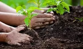 World Earth Day 2025: Why Is It Celebrated, What Is the Reason Behind It? Let’s Understand