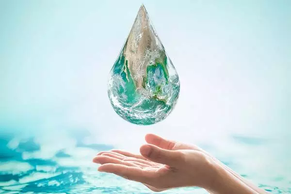 Save Every Drop of Water: What Are Waterless Toilets and How Are They Environmentally Friendly?