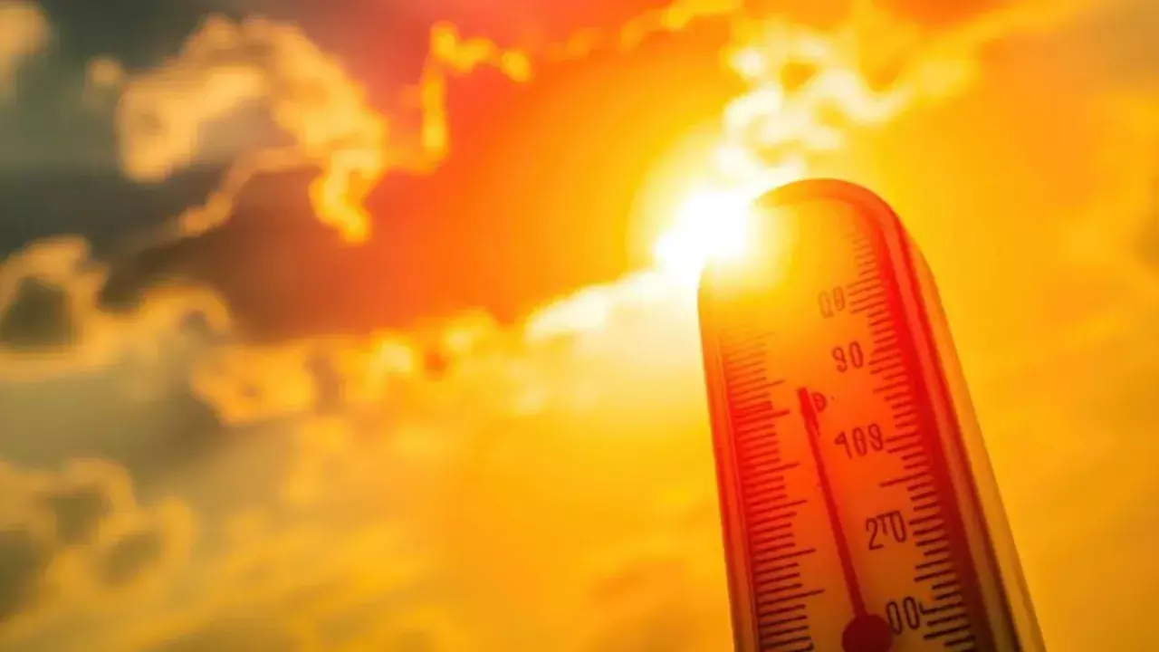 Heatwave