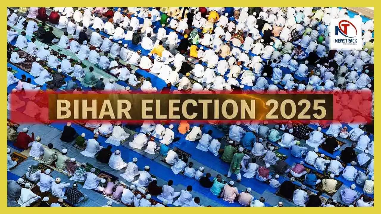 Bihar Assembly Elections 2025 Pasmanda Muslims Votes Full Report Bihar Assembly Elections 2025 Pasmanda Muslims Votes Full Report