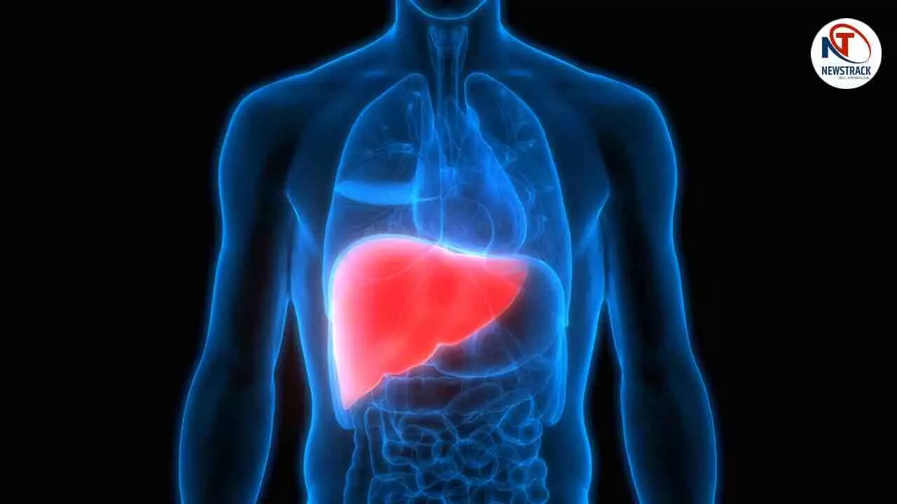 Liver Silently Dying Causes and Treatment