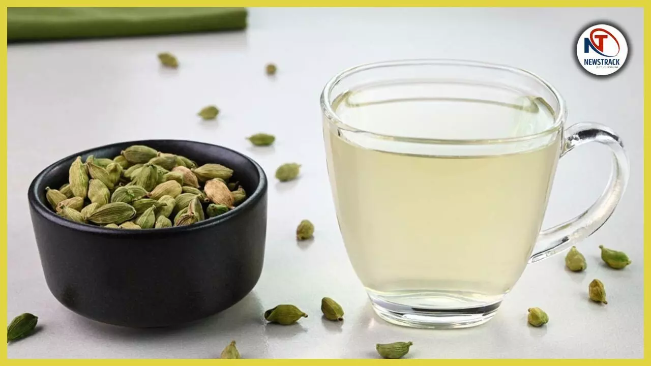 The Surprising Benefits of Drinking Cardamom Water on an Empty Stomach