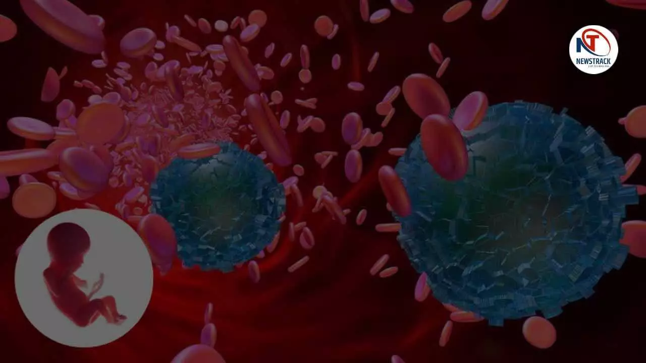 Microplastics Found in Semen and Ovaries