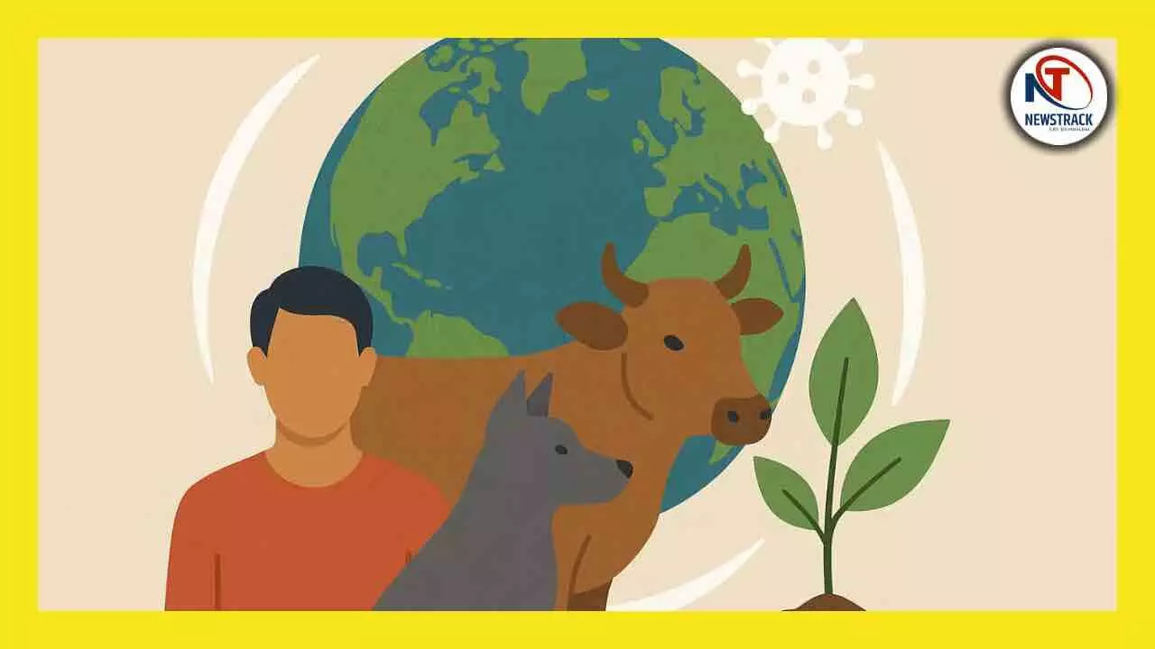 World Zoonoses Day 2025 History