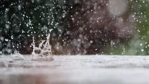 Weather Today Weather Today