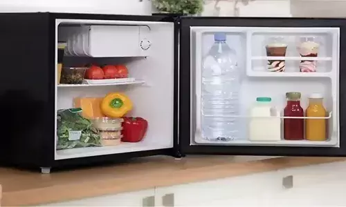 Handle Your Freezer with Care — It Might Affect Your Health Handle Your Freezer with Care — It Might Affect Your Health