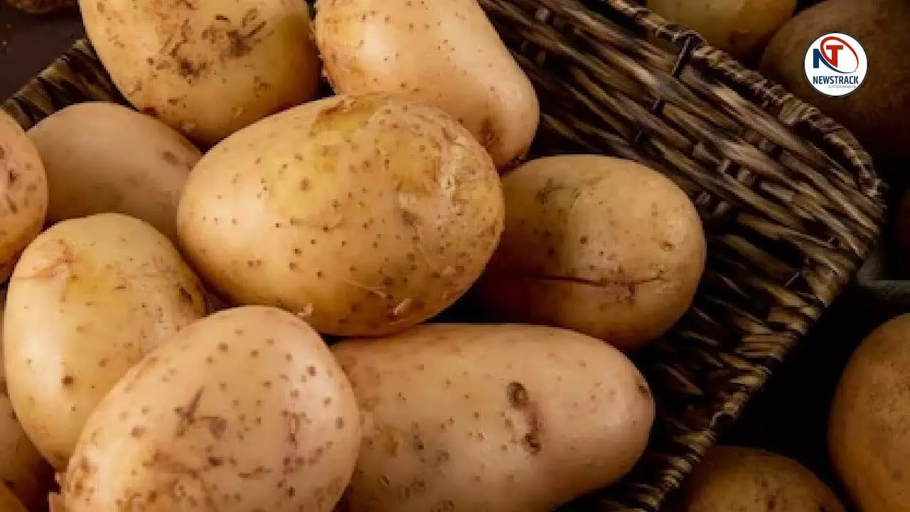 History of Potato in India History of Potato in India