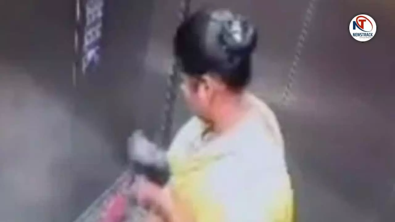 Bengaluru Maid Kills Puppy Inside Lift Shocking CCTV Video Sparks Outrage Bengaluru Maid Kills Puppy Inside Lift Shocking CCTV Video Sparks Outrage