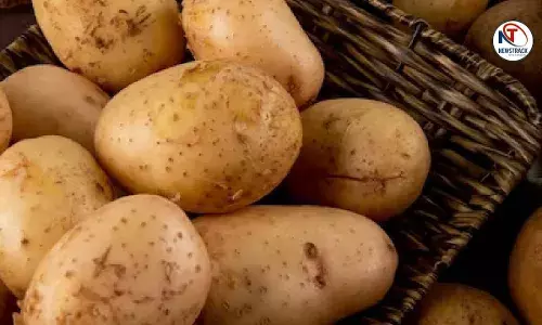 History of Potato in India History of Potato in India