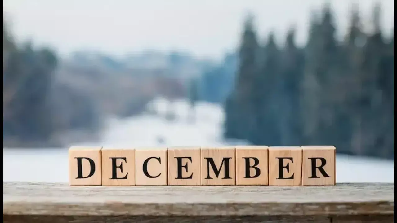 December special day in India December special day in India