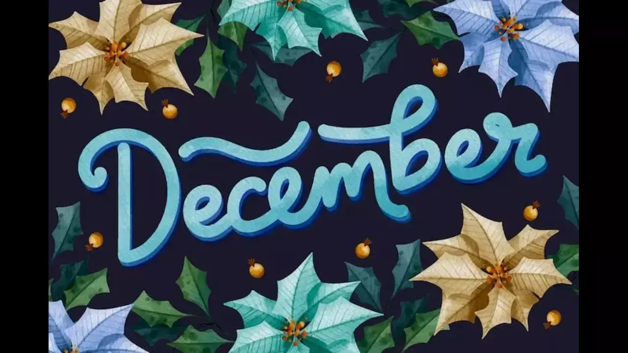 December special day in India December special day in India