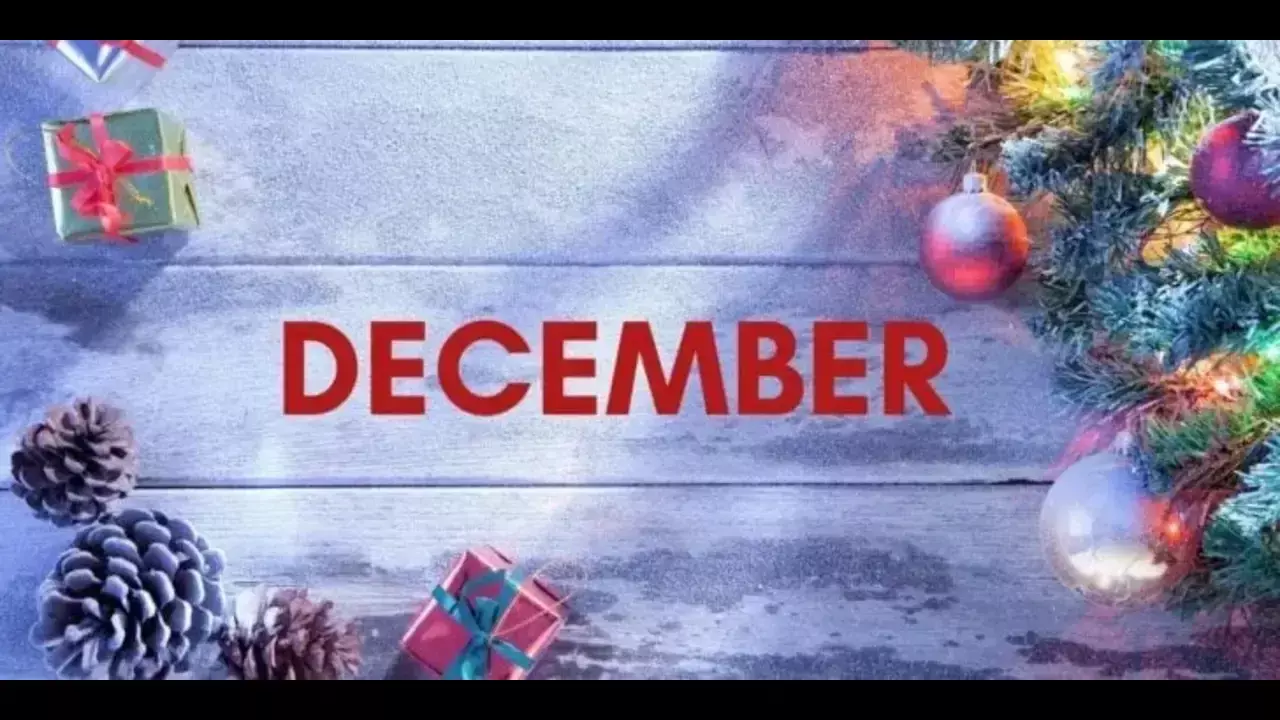 December special day in India December special day in India