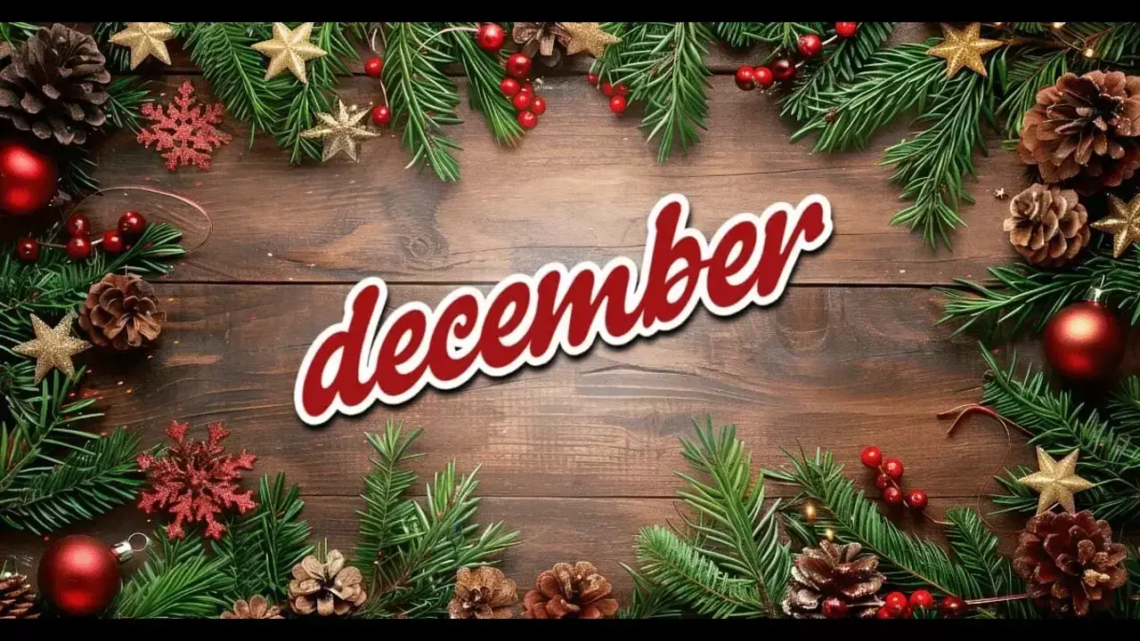 December special day in India December special day in India
