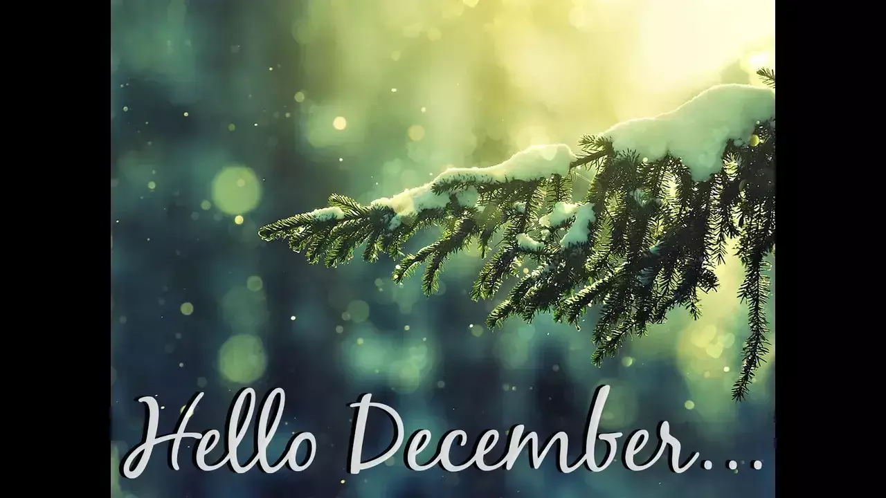 December special day in India December special day in India