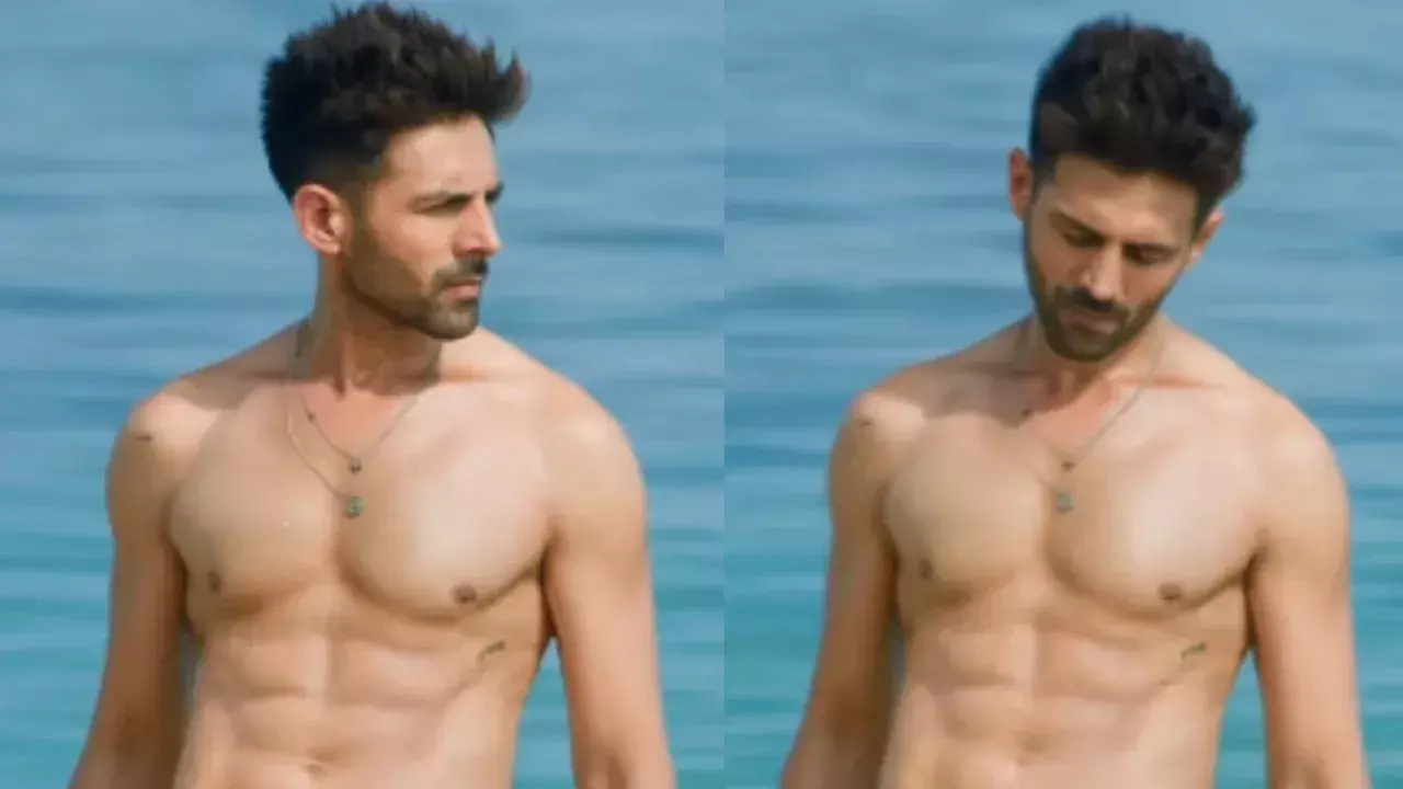 Kartik Aaryan Kartik Aaryan