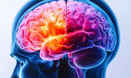 Animal studies show Alzheimers disease can be reversed Animal studies show Alzheimers disease can be reversed