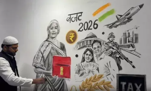 Giant 6-ft artwork of Nirmala Sitharaman created by UP artist for budget day