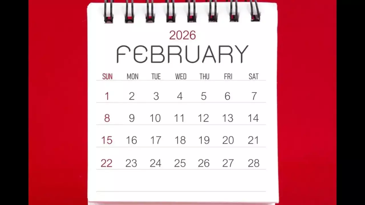 February Special Day February Special Day