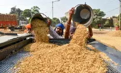 Centre temporarily discontinues fortification of rice under PMGKAY