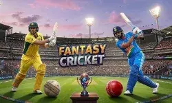 What New Users Should Know Before Using Online Sports Platforms