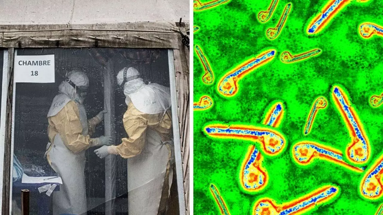 Ebola Alert Issued in India: What Travellers Must Know Before It's Too Late