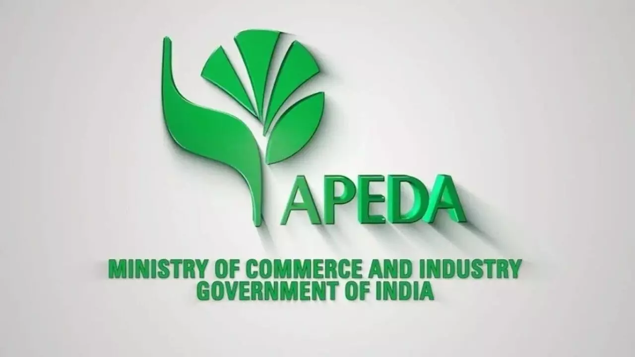 India Eyes Bigger Organic Export Growth as APEDA Brings Global Buyers Together